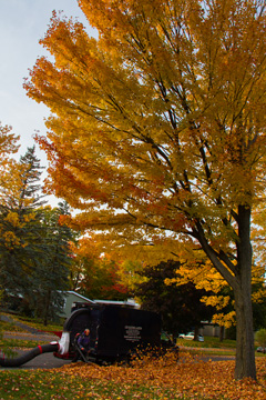 Aspirateur de feuilles mortes.jpg