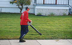 Tonte de pelouse à st-jérôme